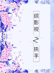 综影视之执手