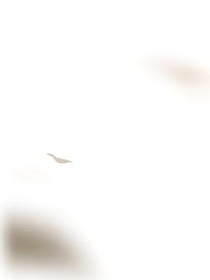 新的曙光：黑暗世界