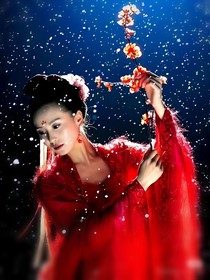 步步惊心（双生花之间的互相救赎）