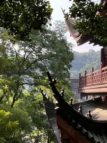 前缘后渡，苦海无涯
