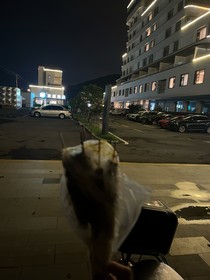 云中鸟