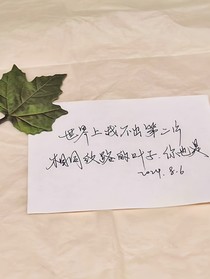怀念那个秋