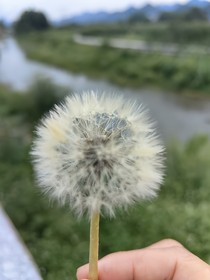 同人文短篇集