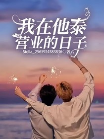 我在他泰营业的日子