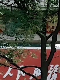 早时记起