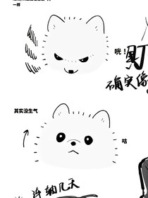撒特先生