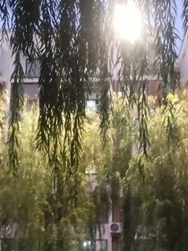 戲影烽煙