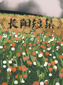 长阳短集