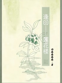 逢回—莲遇