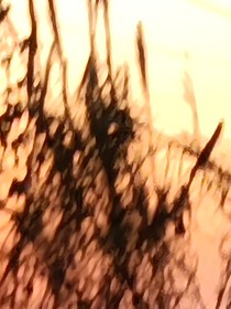 系统劝不动造反男主