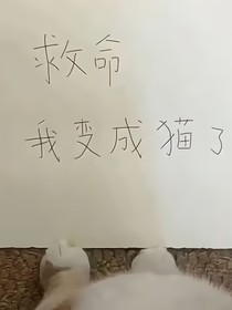 救命我变成猫了