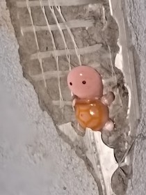 名望真的那么重要吗