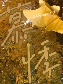 慕悸……