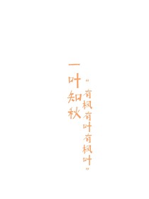夏日楓遇葉