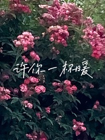 许你一杯暖