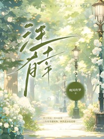 斗龙：三生有幸