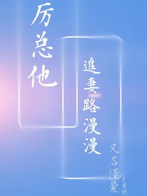 厉总他追妻路漫漫（又名懂爱）