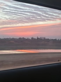 槛花梦蝶