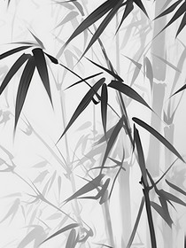 斗龙：前世因，今世果