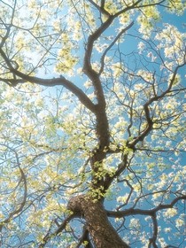 勘佣：神不救人我救