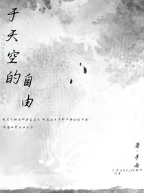 于天空的自由