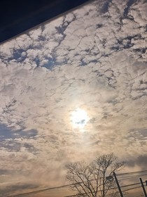 我与德爷的荒野求生