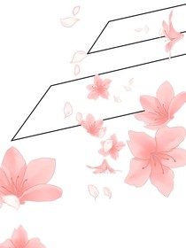 魔法传奇：星辰之耀