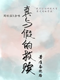 真与假的救赎