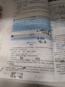 我与副官不可说的二三事