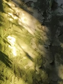 我要光待在我身边