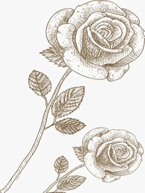 青柠原谅