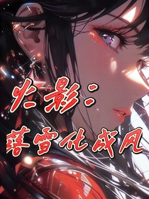 火影：落雪化为风