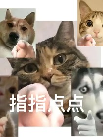 萌学园：听说那个老师很凶