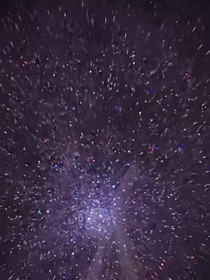 林苏梦之情