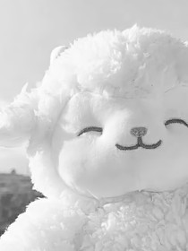 斗1：之穿成青鸾的女儿