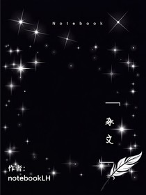 Notebook杂文集