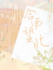 含南望北