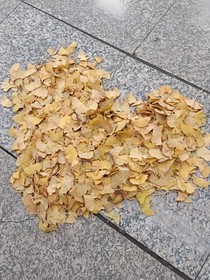寄一封迟来的信
