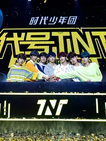 TNT：交织的平行线