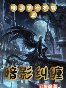 精靈夢葉羅麗之暗影糾纏