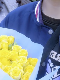 暖阳中盛放的黄玫瑰