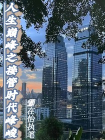 人生巔峰之接管時代峰峻