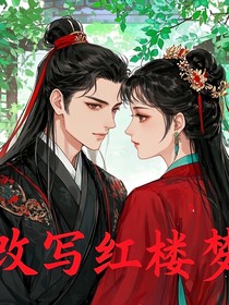 改写红楼梦