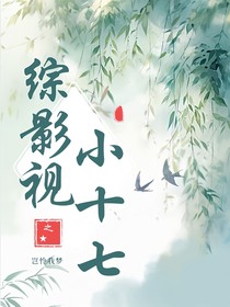 综影视：小十七