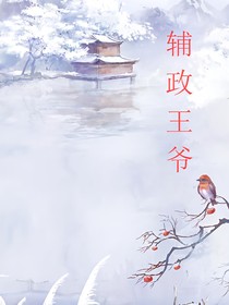 辅政王爷