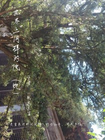 世界上同样的他（她）