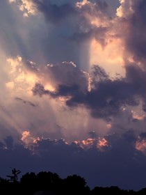 璃的日记体