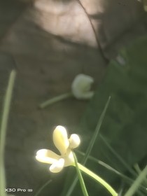 深淵中救贖