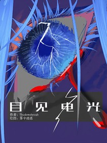 目见电光