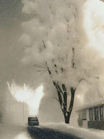 孤独随记